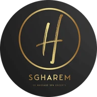 SGHAREM 外部网站圆形标识