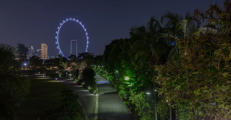 新加坡摩天观景轮夜景与滨海湾旁亮灯的绿荫步行道